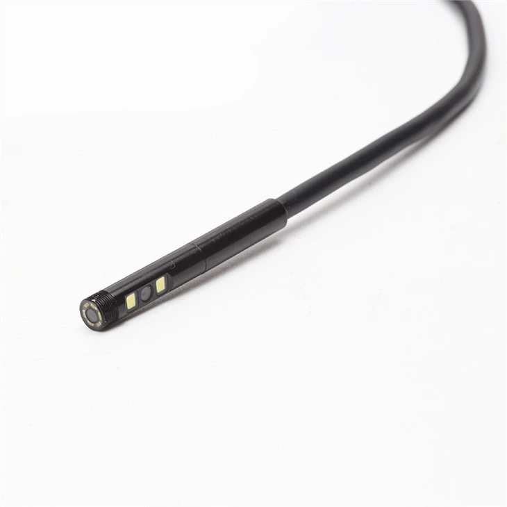 Dual lens endoscope